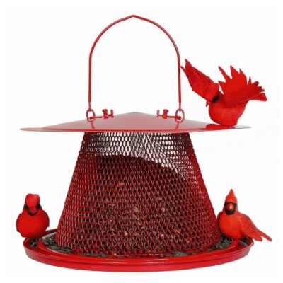 2 5 Pound Cardinal Feeder Garden Plant