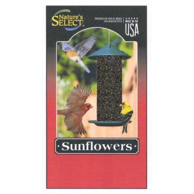 America's Favorite Black Oil Sunflower Seed Garden Plant