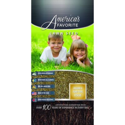 America's Favorite Lawn Seed Jaguar 4 Turf Type Fescue Garden Plant