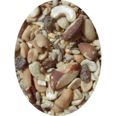 America's Favorite Woodpecker Wild Bird Feed Garden Plant