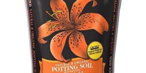 Black Gold Natural and Organic Potting Soil Garden Plant