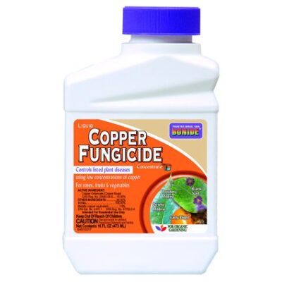 Bonide Copper Fungicide Concentrate Garden Plant