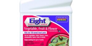 Bonide Eight Insect Control for Vegetable