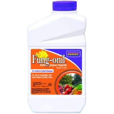 Bonide Fung-onil Fungicide Concentrate Garden Plant