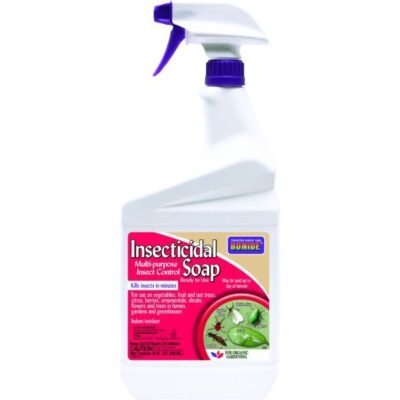 Bonide Insecticidal Soap RTU Spray Garden Plant