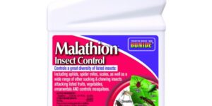 Bonide Malathion 50% Insect Spray Garden Plant