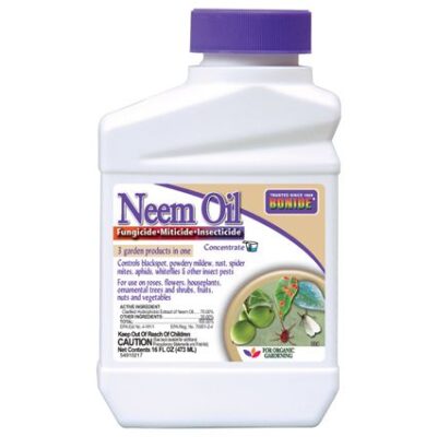 Bonide Neem Oil Concentrate Garden Plant