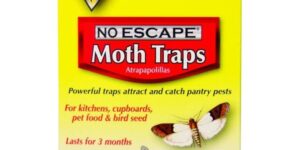 Bonide Revenge No Escape Moth Traps Garden Plant