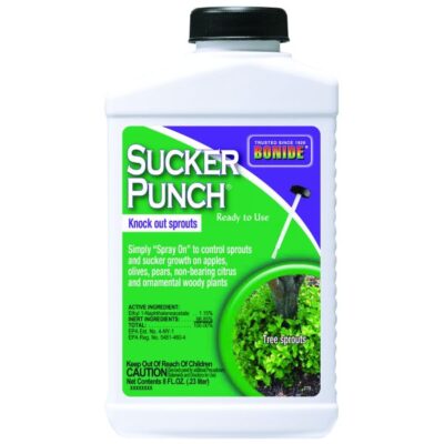 Bonide Sucker Punch RTU Brush Top Garden Plant