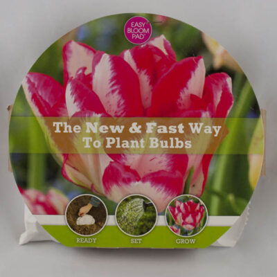 Cartouche Tulip Easy Bloom Pad Garden Plant
