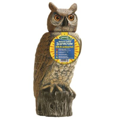 Dalen Solar Rotating Head Owl Garden Plant