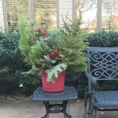 DoorScapes Winter Greenery Kit Garden Plant