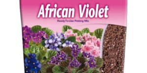 Fertilome African Violet Potting Mix Garden Plant
