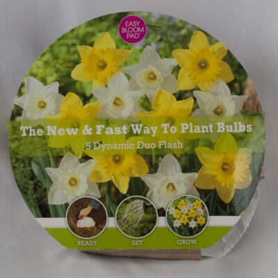 Flash Easy Bloom Pad Garden Plant