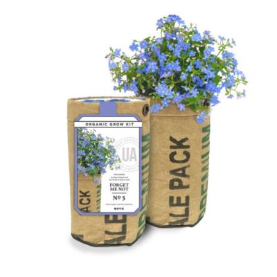 Forget Me Not Grow Kit Garden Plant
