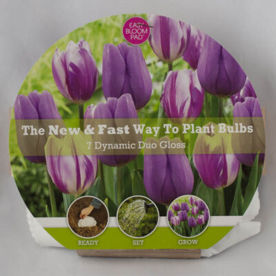 Gloss Easy Bloom Pad Garden Plant