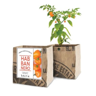 Habanero Grow Kit Garden Plant