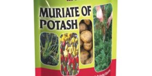 Hi-Yield Muiate of Potash 0-0-60 Garden Plant