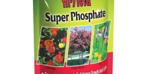Hi-Yield Super Phosphate 0-18-0 Garden Plant