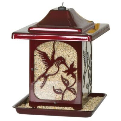 Homestead The Hummingbird Wild Bird Seed Feeder Garden Plant