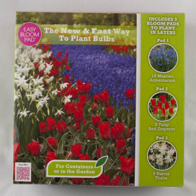 Instant Bulb Garden in a Box Easy Bloom Pad Garden Plant