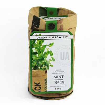 Mint Grow Bags Garden Plant