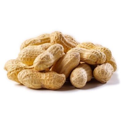 Nature's Select Peanuts Raw In The Shell For Wild Bird Feed Garden Plant