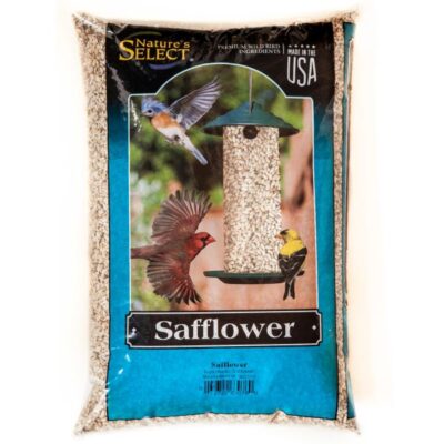 Nature's Select Safflower Wild Bird Feed Garden Plant