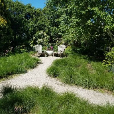 Prairie Dropseed Grass Garden Plant