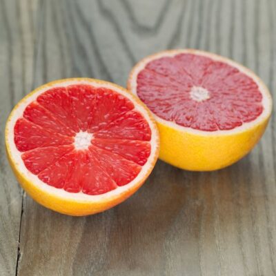 Ruby Red Grapefruit Garden Plant