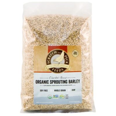 Scratch And Peck Cluckin Good Organic Sprouting Barley Garden Plant