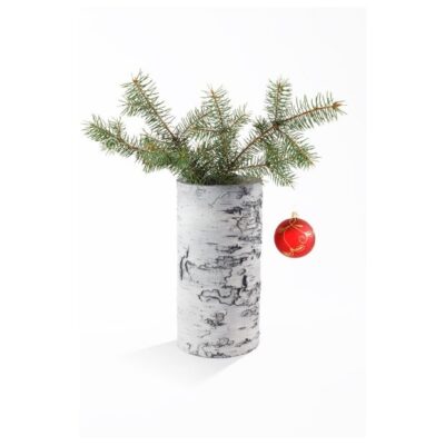 Surreal 12 Inch Natural Birch Vase Garden Plant