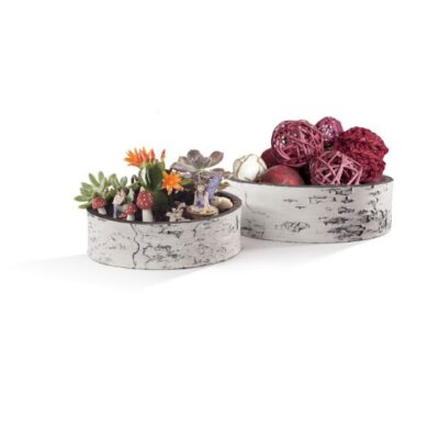 Surreal 13 Inch Birch Succulent Bowl Garden Plant