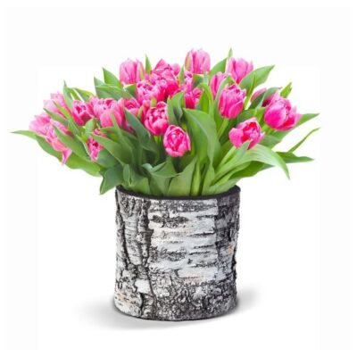 Surreal 8 Inch Birch Vertical Planter Garden Plant