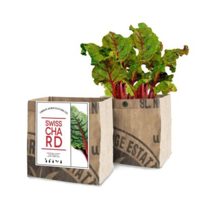 Swiss Chard Grow Kit Garden Plant