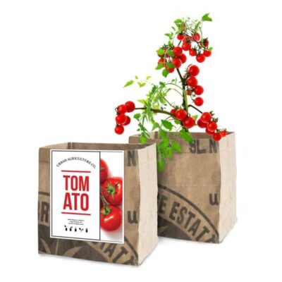 Tomato Grow Kit Garden Plant