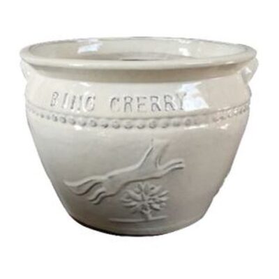 Vintage Pottery Cream 11 5 Inch Cherry Planter Garden Plant