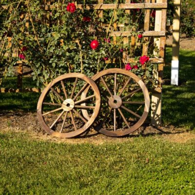 Wooden Wagon Wheels Wall Art Garden Plant