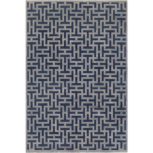 Aesop Rug in Dark Blue and Medium Gray