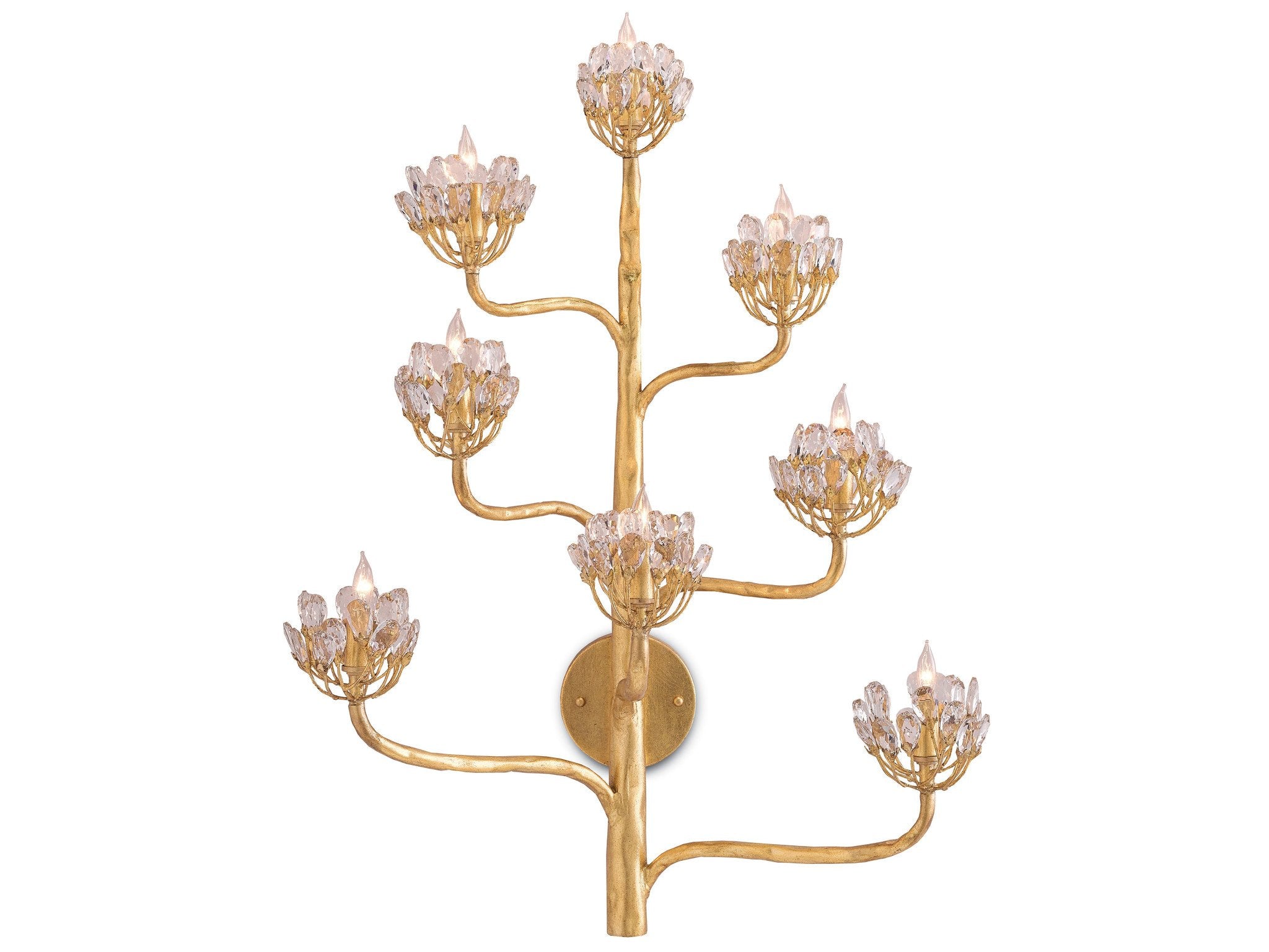 Agave Americana Wall Sconce in Various Finishes design by Currey and Company