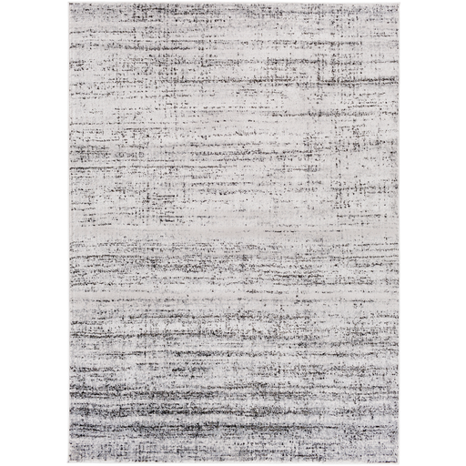 Amadeo Rug in Light Gray and Charcoal