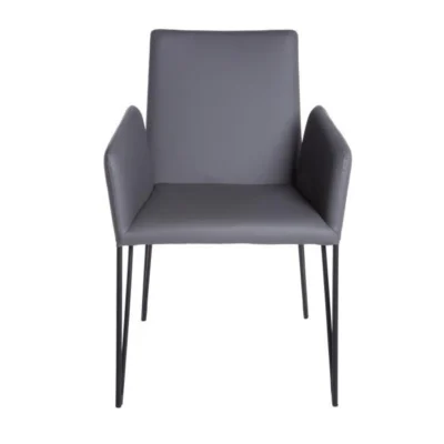 Amir Arm Chair in Dark Grey design by Euro Style