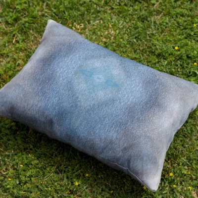 Blue Eye Outdoor Throw Pillow by elise flashman