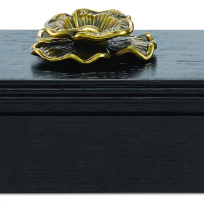 Briallen Caviar Black Box design by Currey and Company