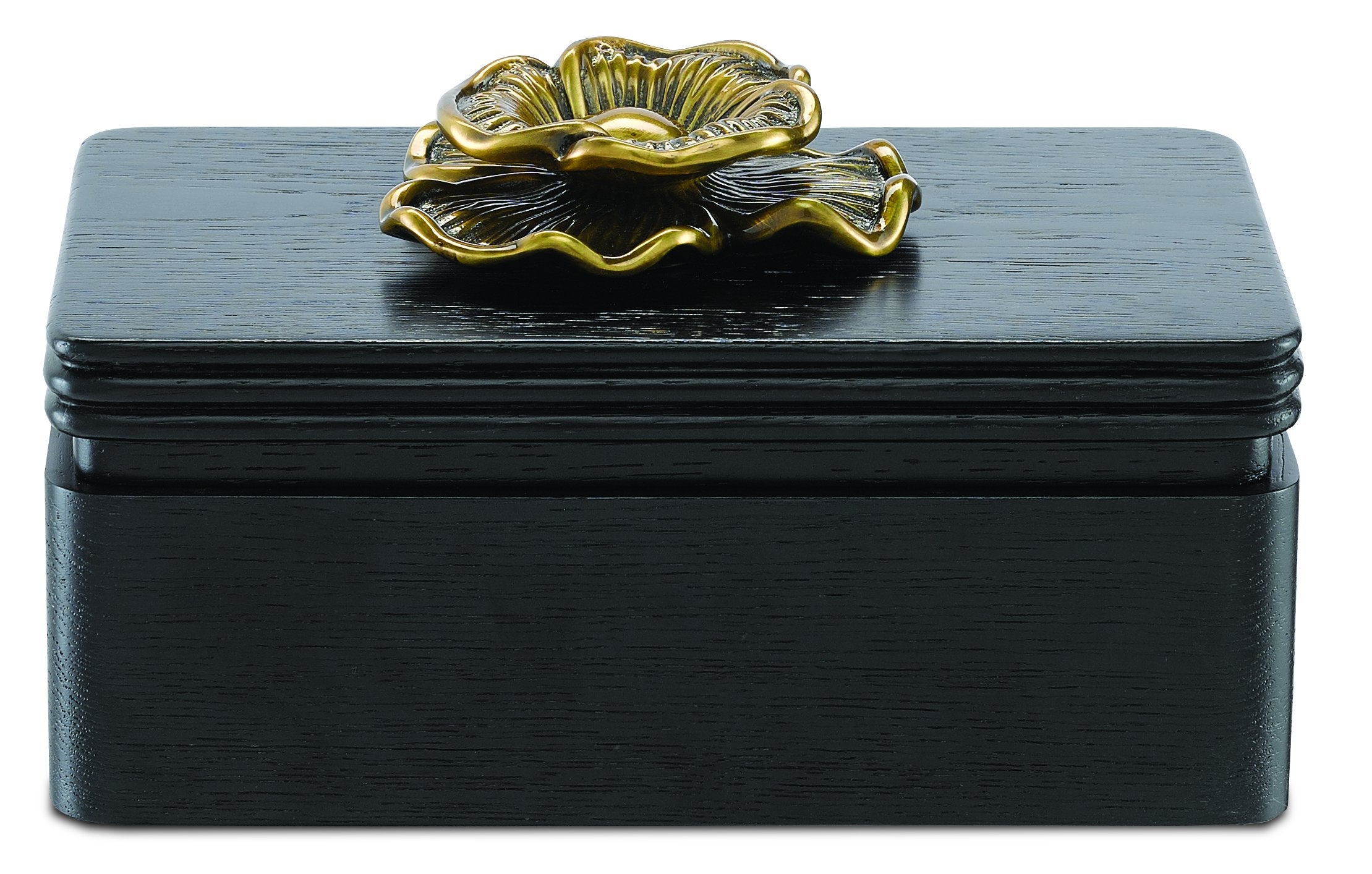 Briallen Caviar Black Box design by Currey and Company