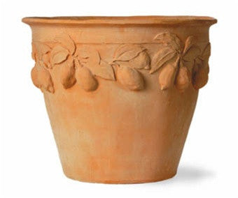 Citrus Planter in Terracotta Finish design by Capital Garden Products