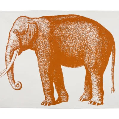 Elephant Canvas Wall Panel design by Thomas Paul